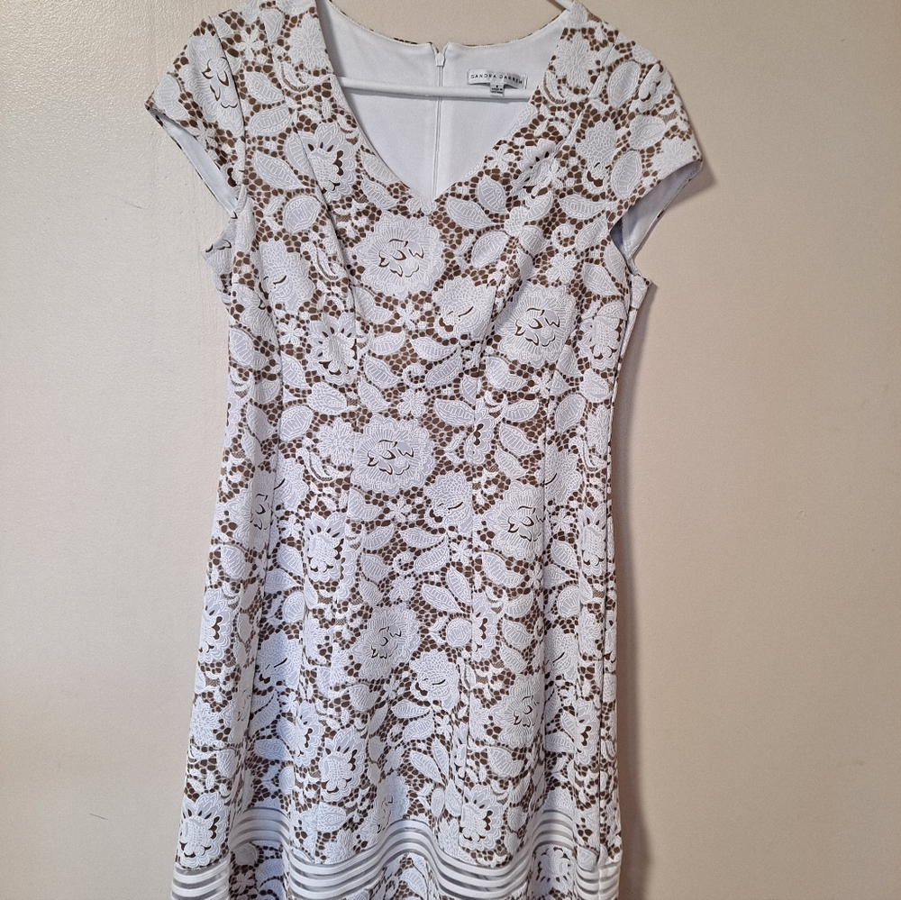 Sandra Darren White and Brown Lace Mini Dress
